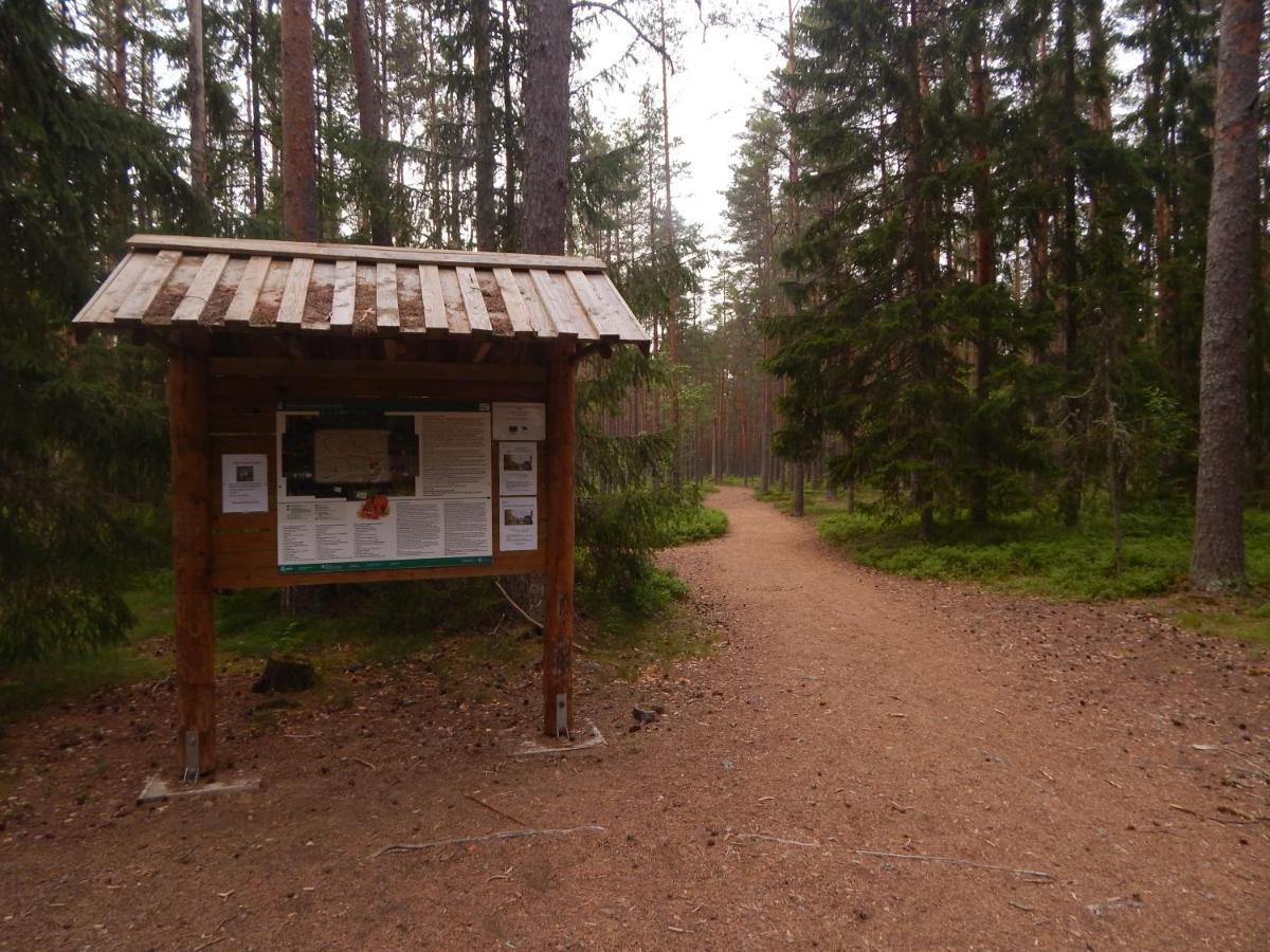 Haaviku Nature Cottage Tepelvalja Екстер'єр фото