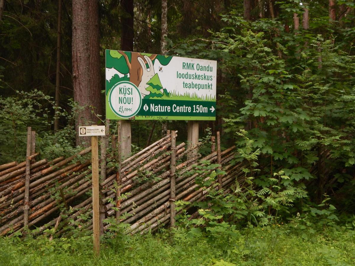 Haaviku Nature Cottage Tepelvalja Екстер'єр фото