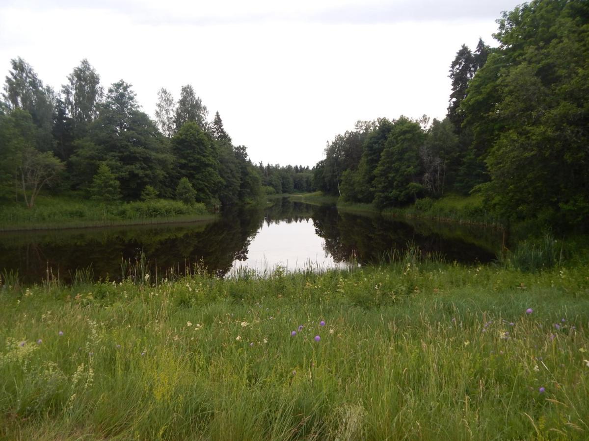 Haaviku Nature Cottage Tepelvalja Екстер'єр фото