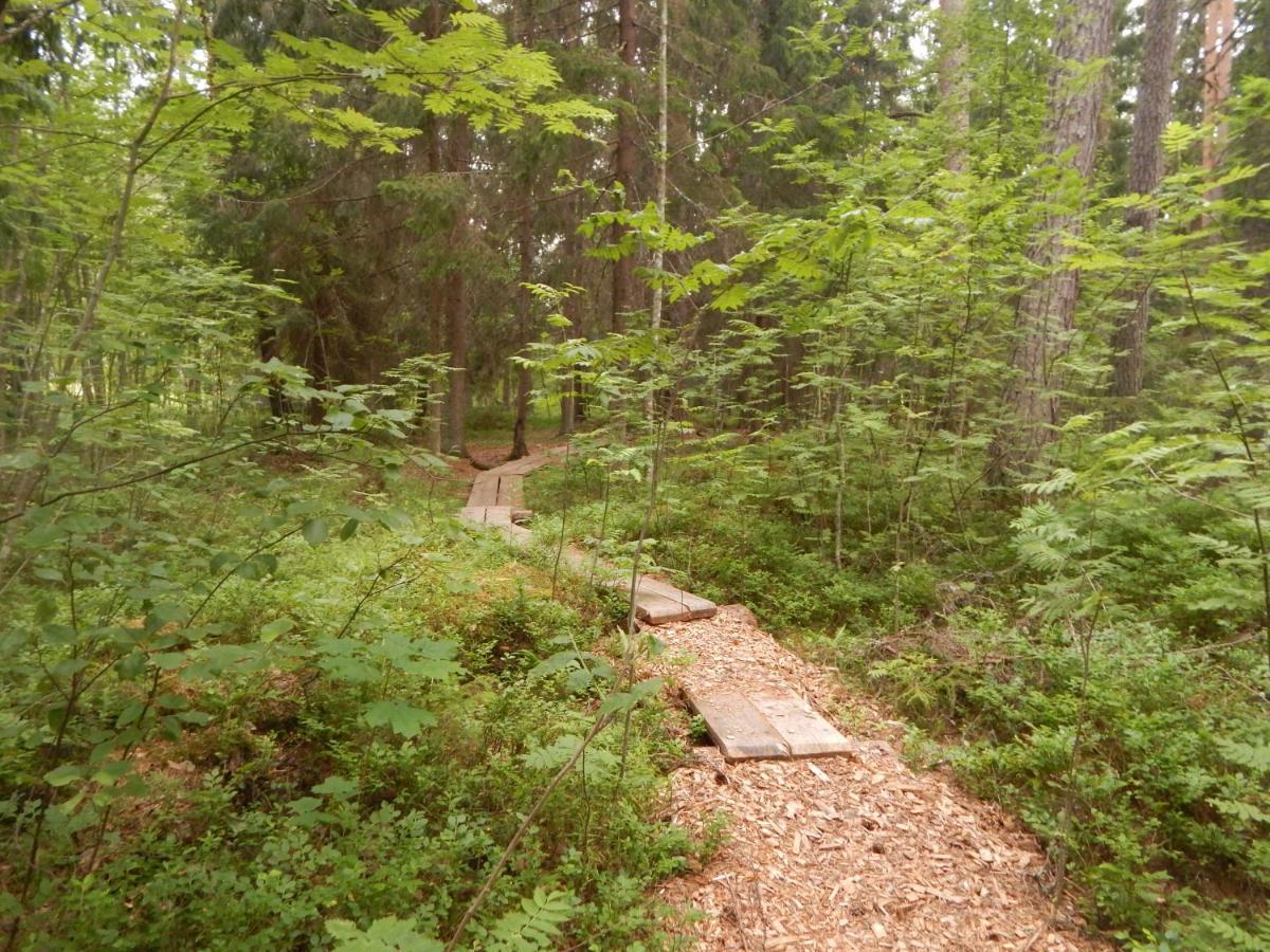 Haaviku Nature Cottage Tepelvalja Екстер'єр фото